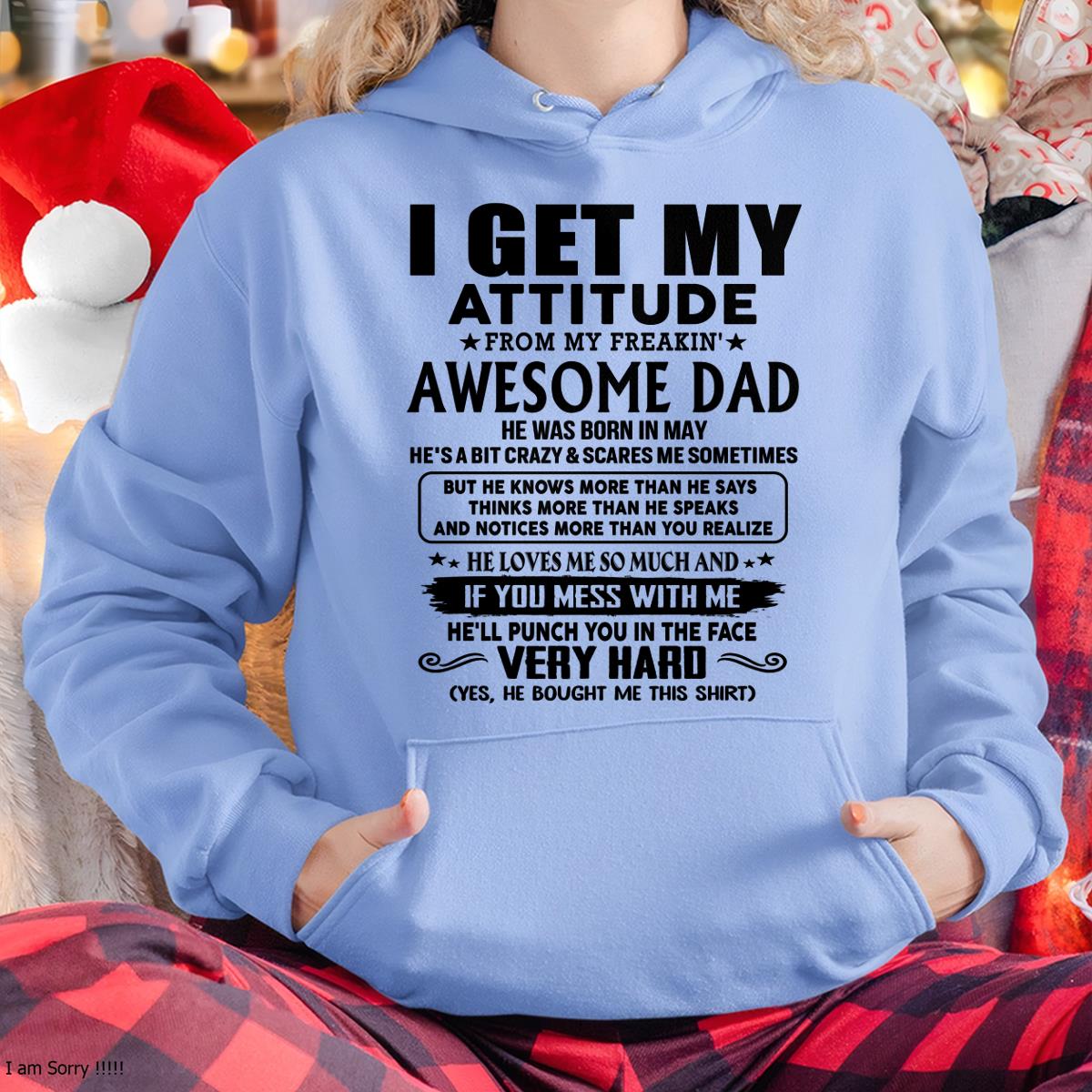 files/HoodieA_f4091ff6-734e-4a5f-9576-7e67447c62ee.jpg