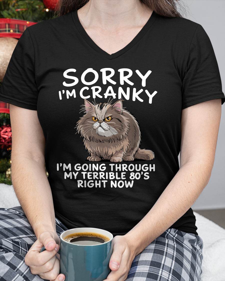 SORRY I AM CRANKY, 80'S - BIRTHDAY SHIRT FOR WOMEN - TOBY00 (SKU12-254)