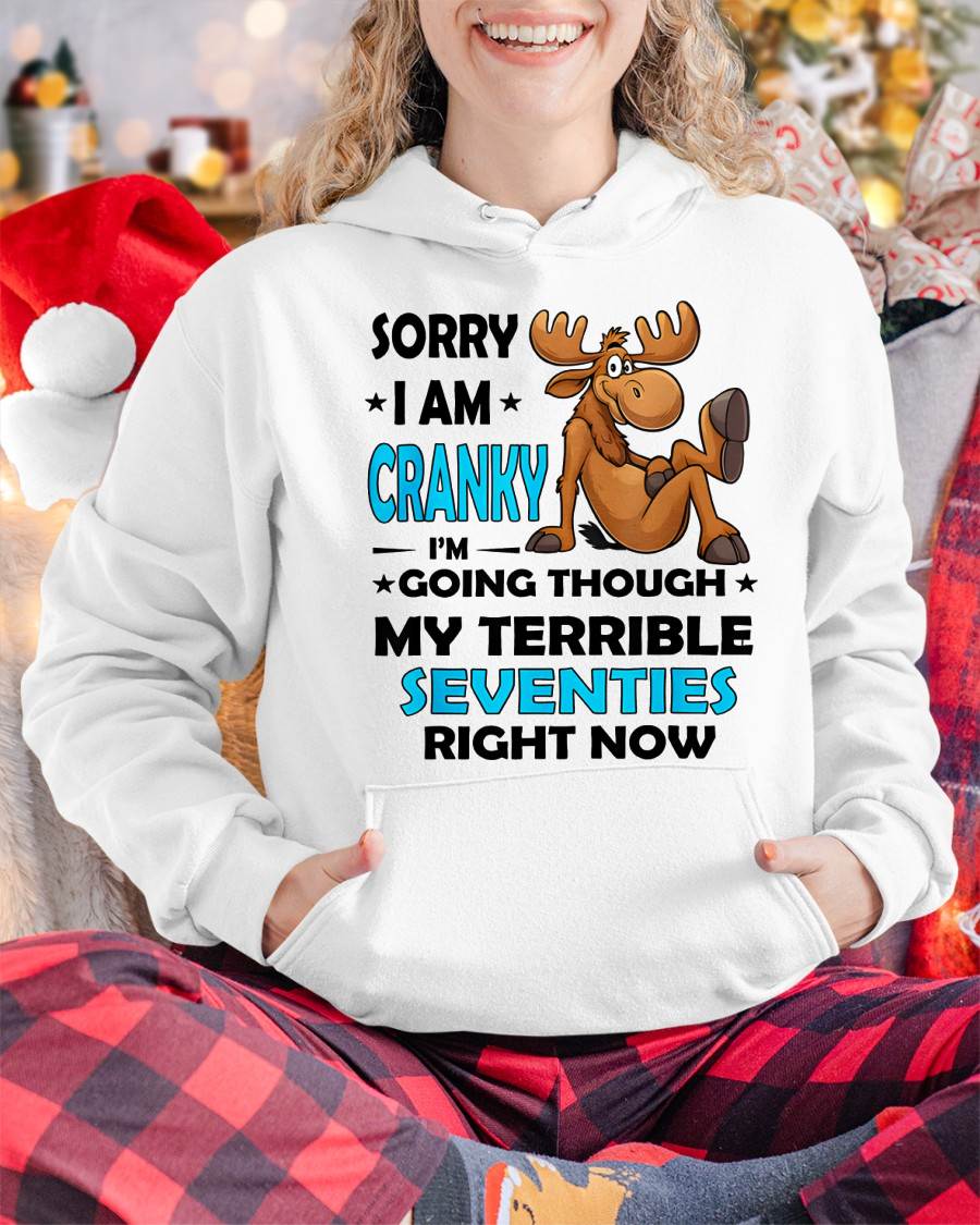 SORRY I AM CRANKY - BIRTHDAY SHIRT FOR WOMEN - TOBY00 (SKU12-249)