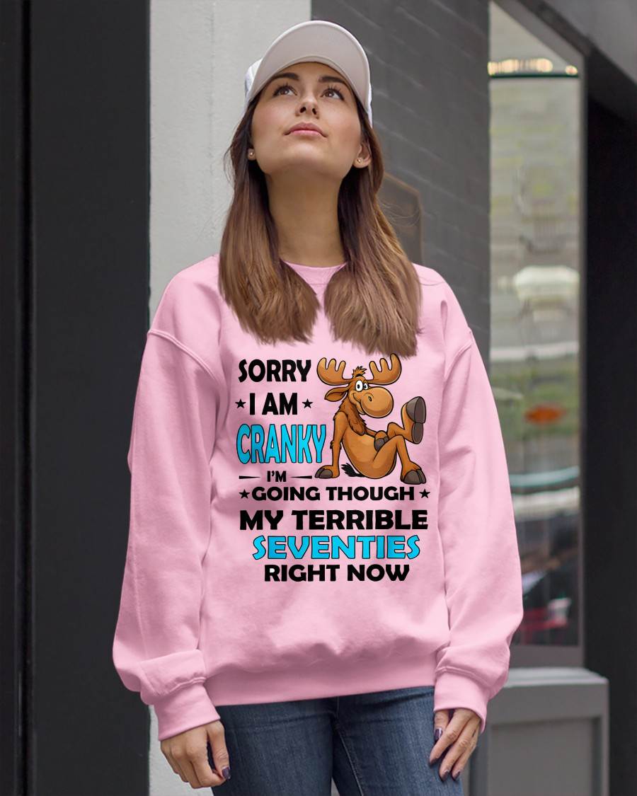 SORRY I AM CRANKY - BIRTHDAY SHIRT FOR WOMEN - TOBY00 (SKU12-249)